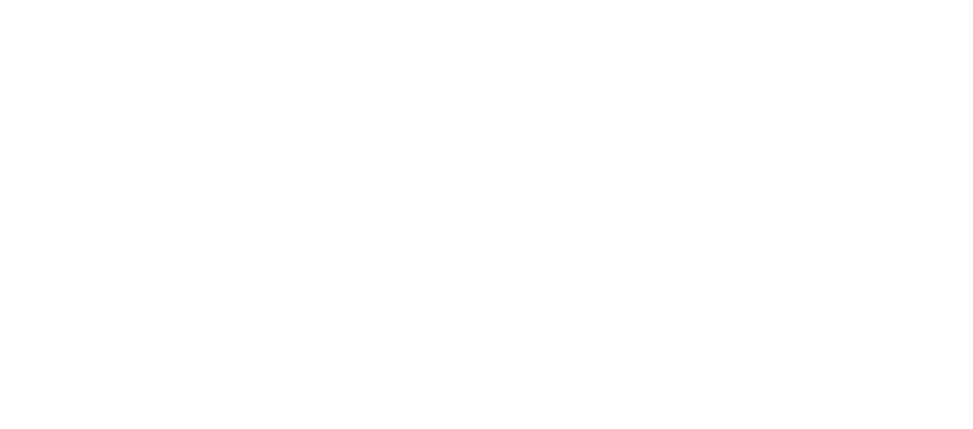 Heineken Logo
